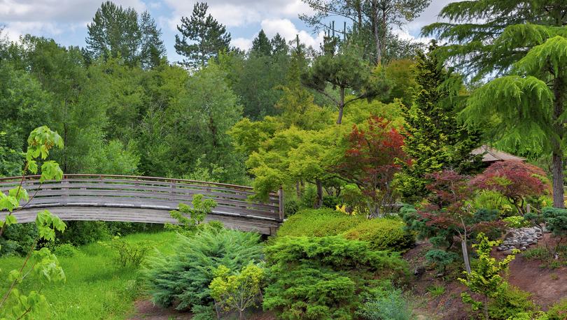 Stock photo of a wooden foot bridge at Tsuru Island Japanese Garden in Gresham Main Street City Park Oregon.