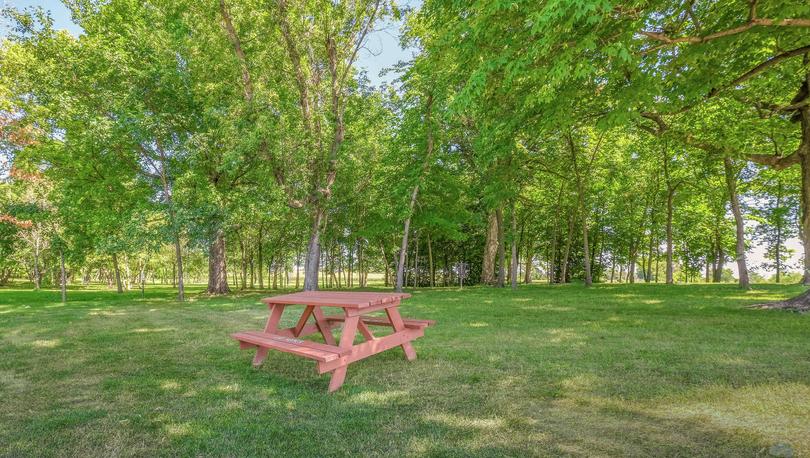 White Trail Ridge new home community park bench, green grass, and large trees