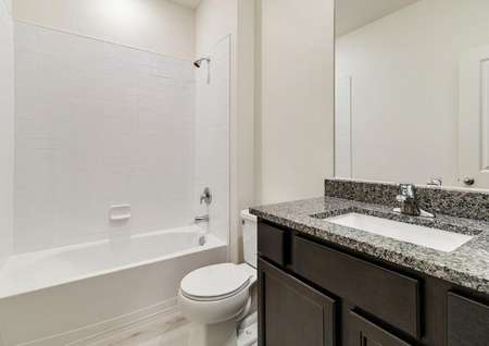 Secondary bathroom with a dual shower and tub, paired with granite countertops and espresso cabinets.