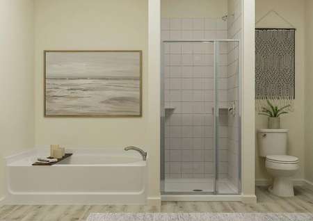 Rendering of the master bedroom focused
  on a tiled shower and separate tub, flanked by the toilet and walk-in closet.