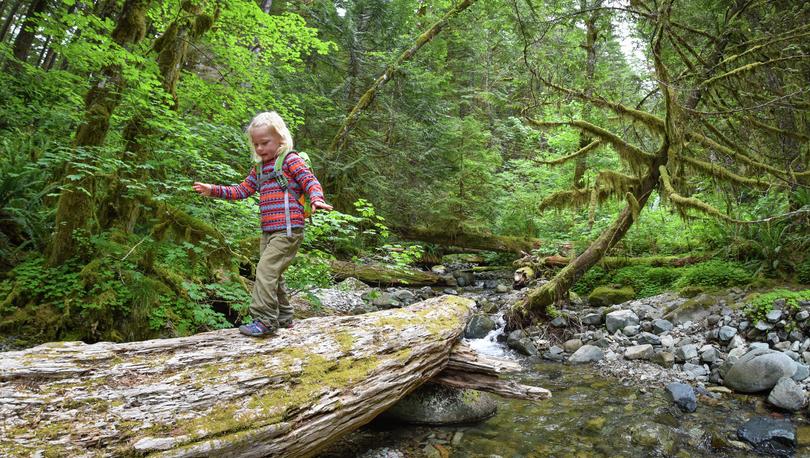 A young girl walks cross a log near a stream in the forest in Washington State.
