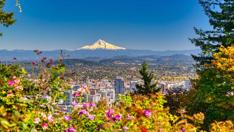 Portland, Oregon skyline showing lush flowering plants, skyscraper buildings, and Mt. Hood in the distance