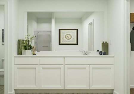 Rendering of owners bath with large
  counterspace and sink, green decorations.
