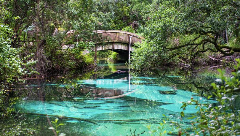 Natural clear fresh water oasis at Juniper springs with wooden bridge at Ocala National Forest