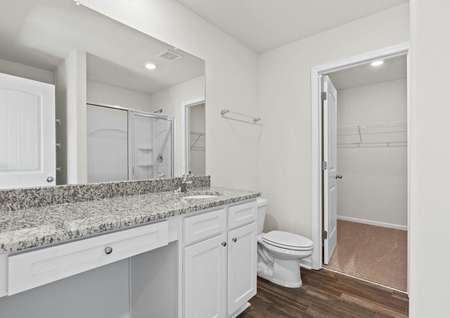 Master bathroom with vinyl flooring, a large vanity and a walk-in closet.