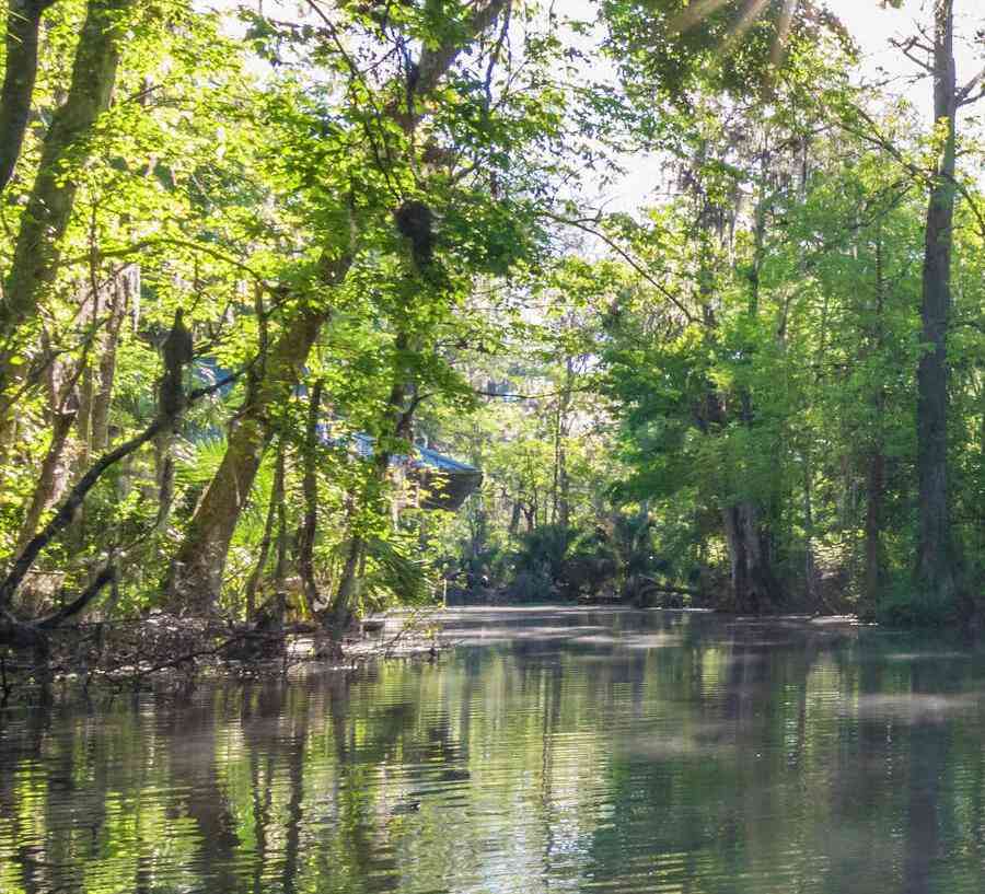 Canoes on a beautiful river with trees all around