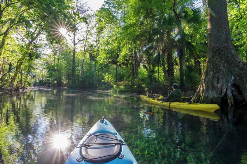 Silver River at Silver Springs State Park kayakers moving along the calm waters covered in overgrown lush trees