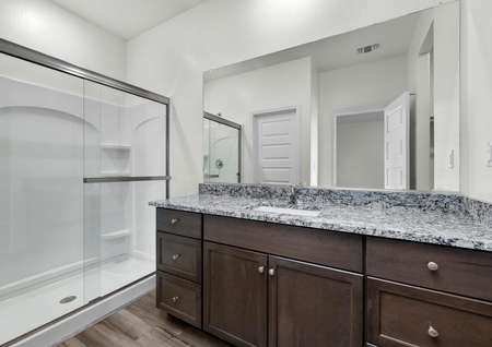 The master bathroom has a large vanity and a step-in shower.