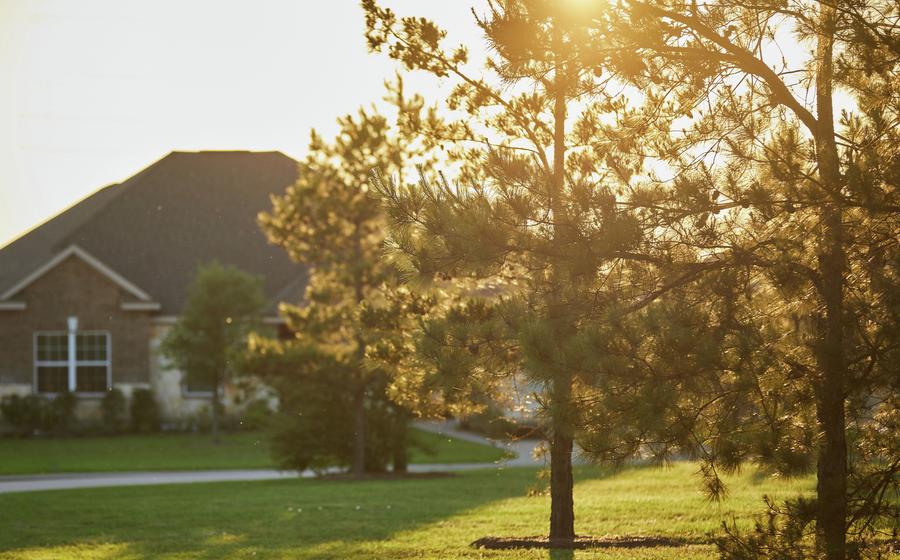 Gorgeous brick home at sunset with trees and grass.