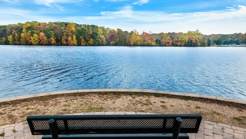 Picture of bench overlooking lake with trees on the opposite side of the water