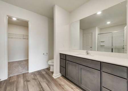 Large master bath highlighting a beautiful vanity and walk-in closet.