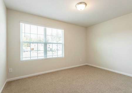 Avery office with large windows, white trim, and brown carpeting