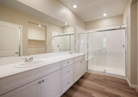 The master bath has a stunning vanity and a huge walk-in shower.