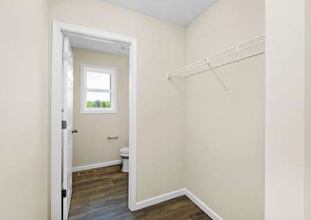 Photo of a mud room and powder bathroom with plank flooring and two-tone paint.