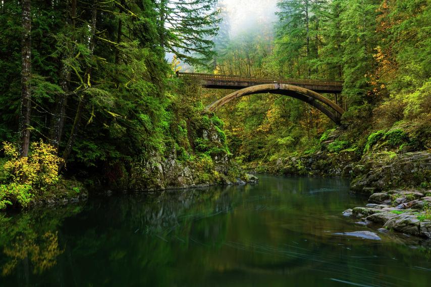 Vancouver, Washington Multon Falls trail with bridge going over the Lewis River, still waters, and overgrown trees