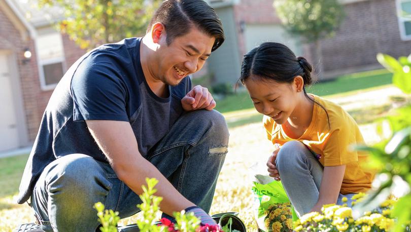 Father and daughter planting flowers.