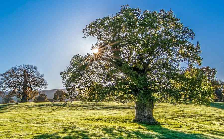 Texas Hill Country Views.