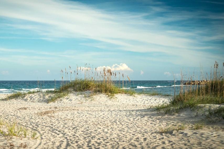 Wrightsville Beach, North Carolina sandy dunes on the beach with plants, ocean water, and sand