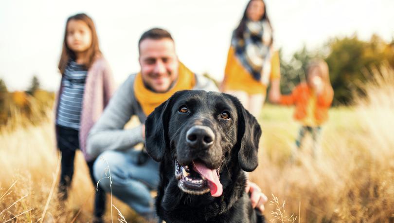 Image of a family and their dog outside.