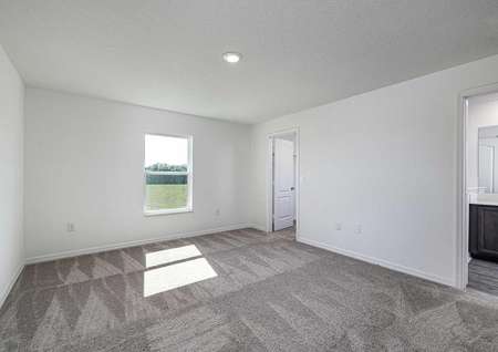 Carpeted master bedroom with a window, walk-in closet and a full bathroom.