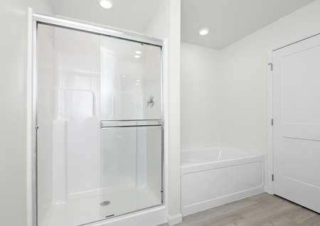 The master bathroom has a large step-in shower