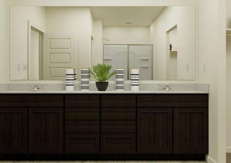 Rendering of the large owner's bathroom,
  complete with double sink vanity and walk-in closet.