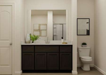 Rendering of the owner's bathroom
  featuring a large vanity.