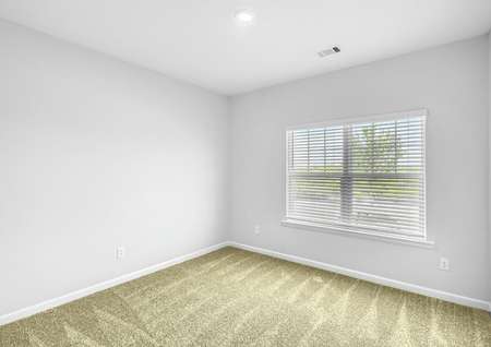 Large, naturally lit bedroom with carpet
