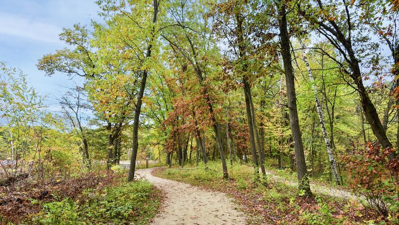Beautiful hiking trail at Maefield Estates