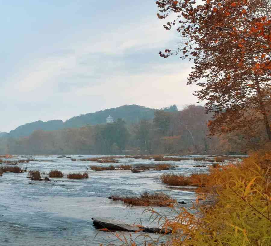 Martinsburg, West Virginia Shenadoah River Valley with rapids, bush-lined banks, and trees in the distance