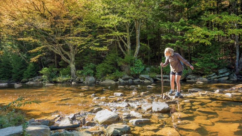 Stock image of a young woman with a stick crossing Red Creek River in Dolly Sods, West Virginia.