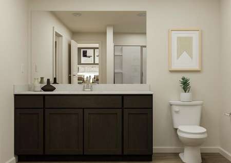 Rendering of the owner's bathroom
  featuring a large vanity.