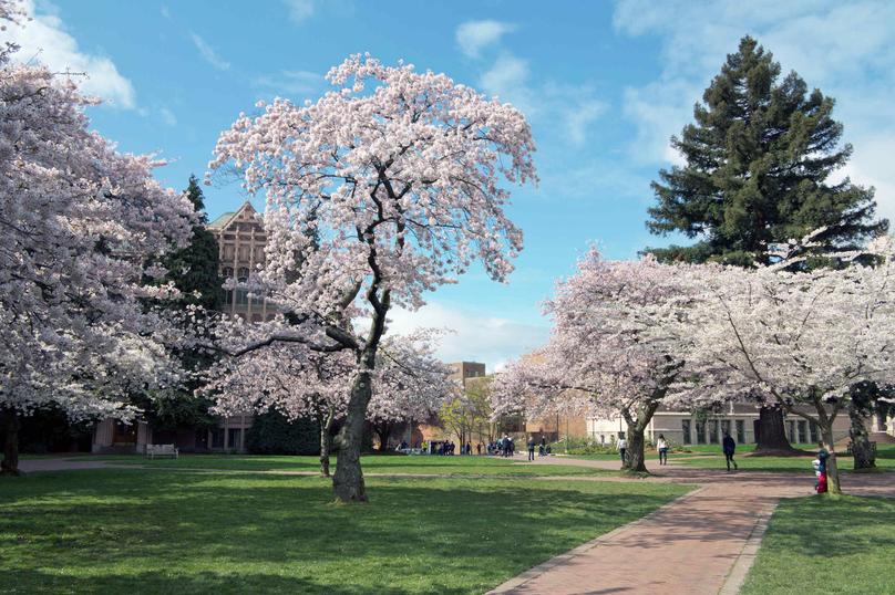 University of Washington in Spring, Seattle, Washington State, USA