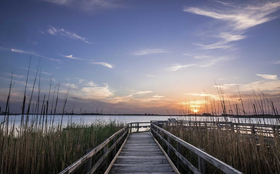 Norfolk, Virginia Back Bay Wildlife Preserve with tall reeds, wooden walkway, and sun setting over the ocean water