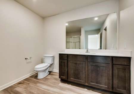 The master bath has a stunning vanity with brown cabinetry.