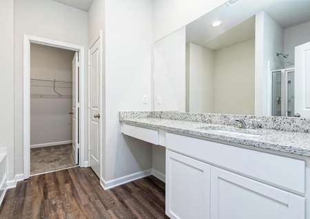 Master bathroom with wood-style flooring, a walk-in closet, and granite countertops.
