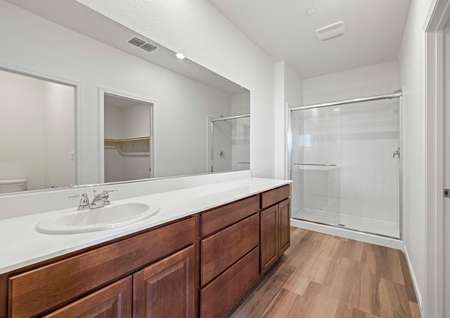 The master bathroom has a large vanity and a step in shower. 