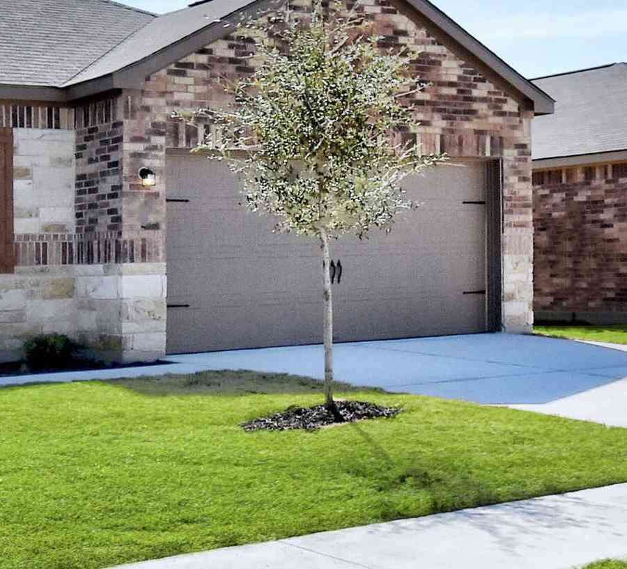 Jasper street view with green grass, brick and stone finished walls, and single living level