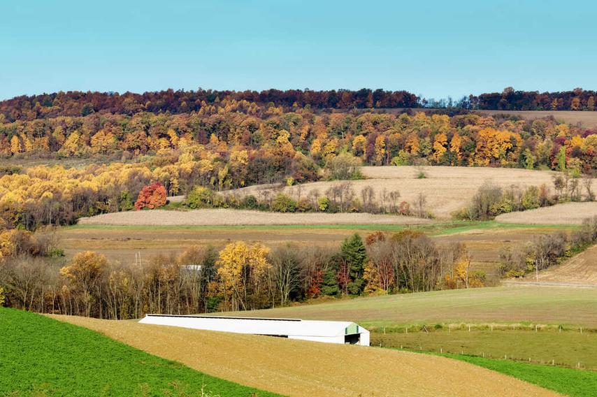 Picture of farmland with rolling hills, treelines, and green grass