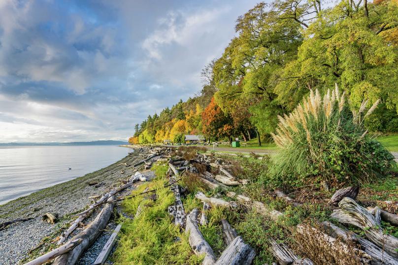 Waterfront scene with driftwood, grass, walking trail and trees in fall colors, clouds forming over the water.