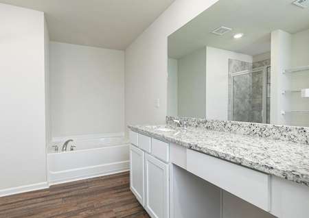 The master bathroom is spacious with a shower, bathtub, and built in vanity area 