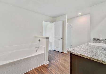 Rio master bathroom with granite counters, white fixtures, and walk-in closet