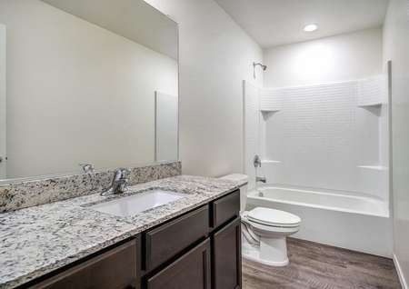 Secondary bathroom with a dual shower and bath tub, granite countertops, and wood-style flooring.