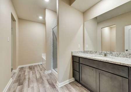 Tahoe master bath with granite counter vanity, wood-like floors, walk-in shower and separate tub