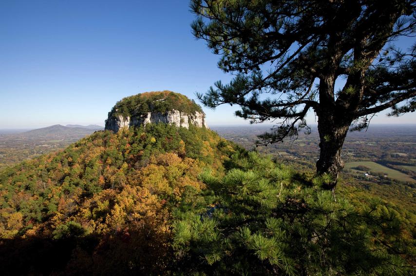 State Park Pilot Mountain, Winston-Salem mound covered in trees and bushes