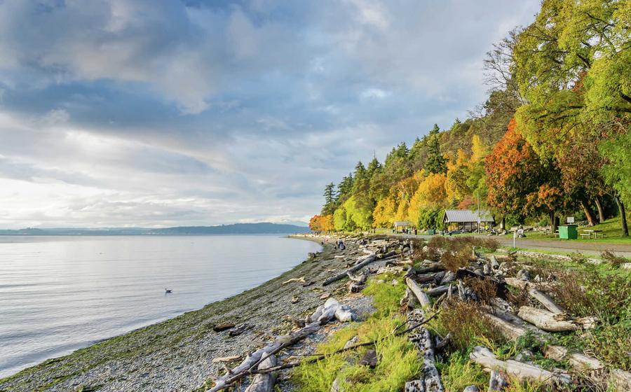 Waterfront scene with driftwood, grass, walking trail and trees in fall colors, clouds forming over the water.