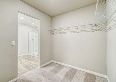 A walk-in closet with more than enough room for clothes and storage.