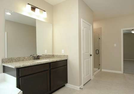 Master bath with sink and shower