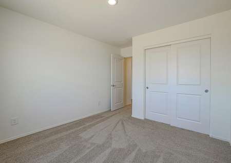 Downstairs bedroom with tan carpet and a closet with sliding doors.