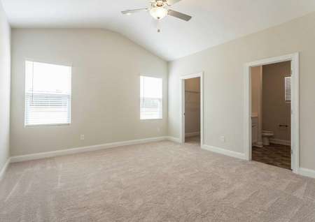 Allatoona master suite with carpeting, walk-in closet, and large windows